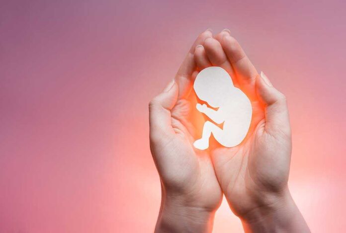 White,Paper,Embryo,Silhouette,In,Woman,Hands,On,The,Right