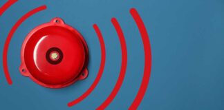 Major Seismic Event Off Russia's Coast Sparks Urgent Alerts and Precautions