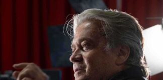 Steve Bannon in profile