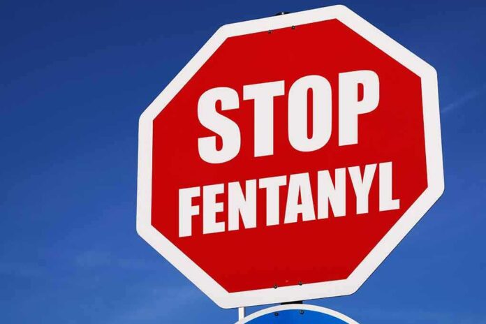 Stop sign saying Stop Fentanyl against sky.