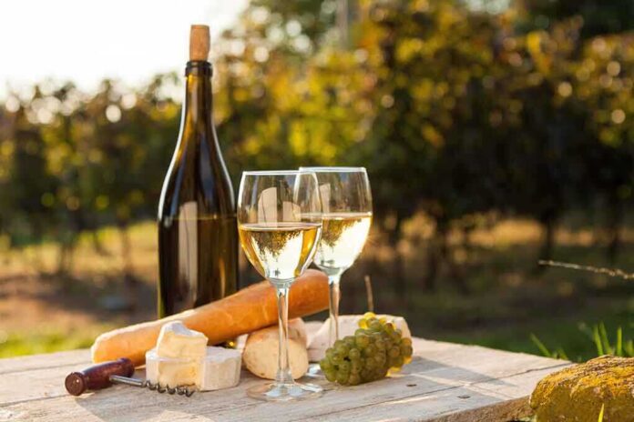 shutterstock_156451127.jpg winery