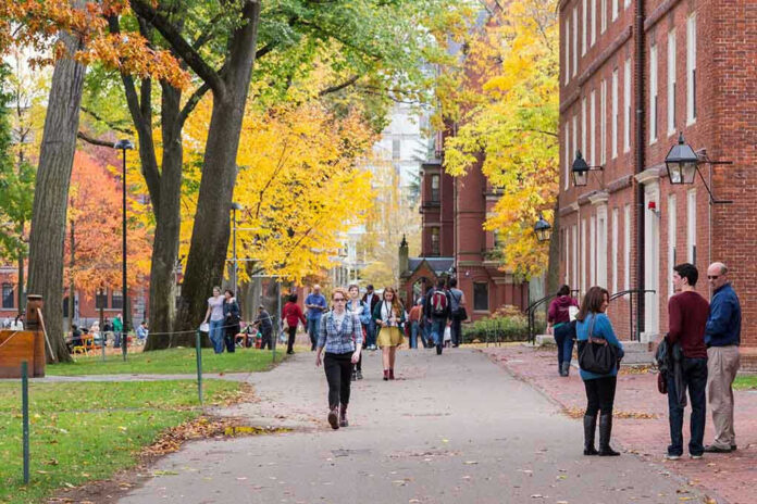 People walking on a college campus in autumn