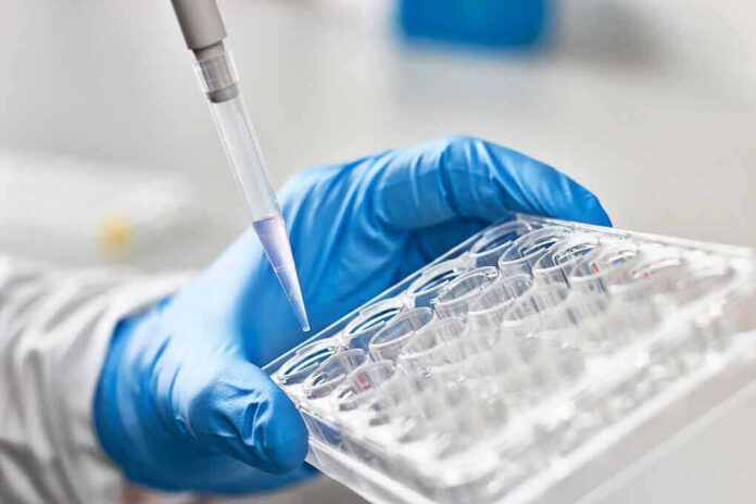 Gloved hand pipetting liquid into a tray.