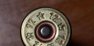 Close-up view of the base of a 12 gauge shotgun shell