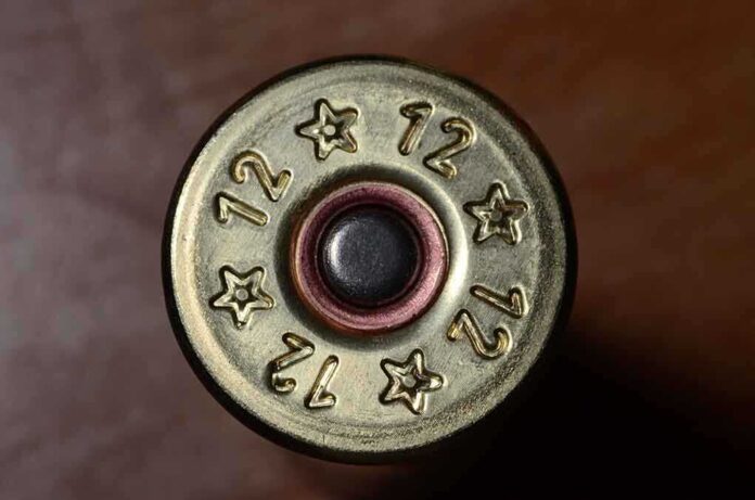 Close-up view of the base of a 12 gauge shotgun shell