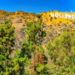 Beloved Hollywood Icon – Lost to Sudden Death Hollywood sign on hillside with trees in foreground.