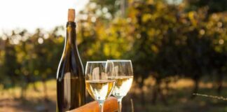 A bottle of white wine, two glasses, cheese, and grapes on a wooden table in a vineyard