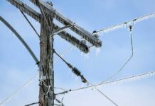 IGUANA Rain – BIZARRE Cold Snap Event Icy power lines and a utility pole against a blue sky