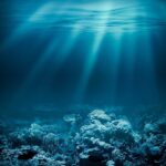 Mussel Invasion Devours 150-Year Shipwreck Underwater view of a coral reef with light rays penetrating the water