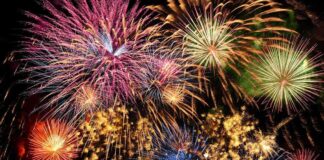 Colorful fireworks exploding in the night sky