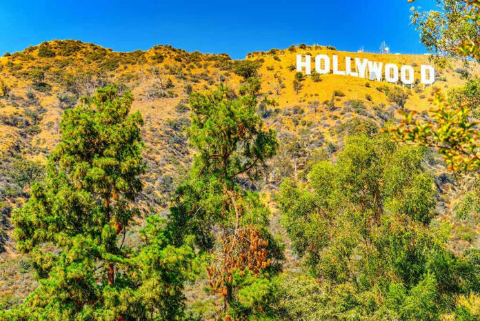 1356693626 Hollywood sign on hillside with trees in foreground.