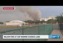 Crews battle 2-alarm fire at building on USF St. Pete campus