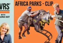 Prince Harry Faces New Scrutiny AFRICA PARKS, The Baka People & Harry! (CLIPS) #princeharry #africaparks