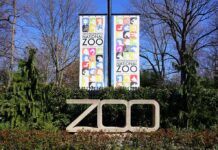Zoo entrance sign with banners among trees and shrubs