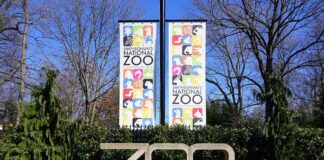 Zoo entrance sign with banners among trees and shrubs