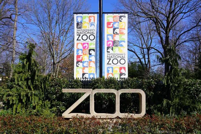 Zoo entrance sign with banners among trees and shrubs
