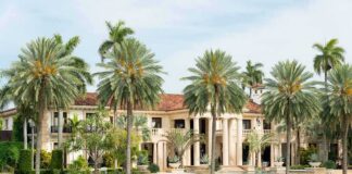 A luxurious mansion surrounded by palm trees and a waterfront view