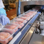 America’s Worst Livestock Nightmare Is Back Packaged chicken breasts on a factory conveyor belt.