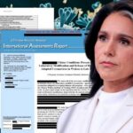 Fauci Files Ignite Washington Firestorm DETAILS: Gabbard releases HUNDREDS of COVID lab leak documents