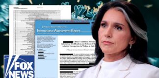 DETAILS: Gabbard releases HUNDREDS of COVID lab leak documents