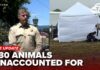 The ‘No-Kill’ Promise That Ended in Mass Graves More than 730 animals unaccounted for as investigators dig at Miranda’s Rescue property
