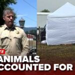 The ‘No-Kill’ Promise That Ended in Mass Graves More than 730 animals unaccounted for as investigators dig at Miranda’s Rescue property