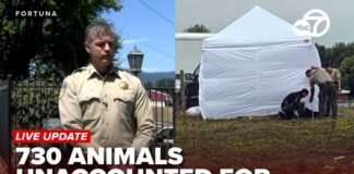More than 730 animals unaccounted for as investigators dig at Miranda’s Rescue property