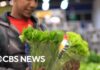 FDA says lettuce still likely source of cyclospora outbreak despite false positive test
