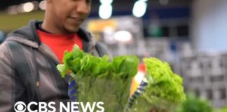 FDA says lettuce still likely source of cyclospora outbreak despite false positive test