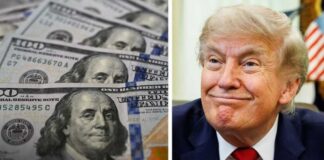  ‘CORRUPT’: Trump discloses ‘staggering’ income from CRYPTO