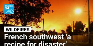 'A recipe for disaster': France's dry southwest struggles to contain wildfire • FRANCE 24 English