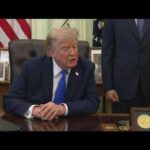 Trump signs orders targeting birthright citizenship and 'birth tourism' restrictions