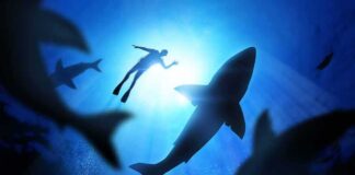 Diver surrounded by sharks in deep blue water