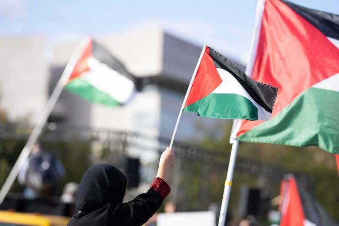 Person waving a Palestinian flag at a rally