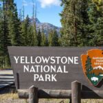 Family’s Yellowstone Visit Turns Into Close Call Yellowstone National Park entrance sign beside a forested road