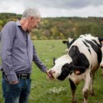 Flesh-Eating Parasite Reaches Texas Border Again Man petting a black-and-white cow in a grassy field