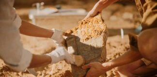 Archaeologists cleaning a large stone artifact at a dig site