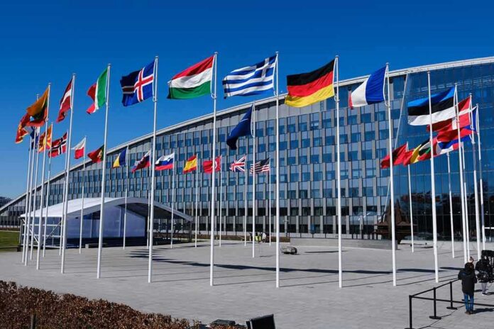 Row of national flags outside a modern glass office building