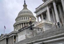 Five Networks Face Antitrust Investigation US Capitol building dome and steps