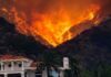 Human Error Sparks Wildfire Concerns Wildfire engulfs hillside behind a suburban house