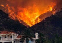Human Error Sparks Wildfire Concerns Wildfire engulfs hillside behind a suburban house